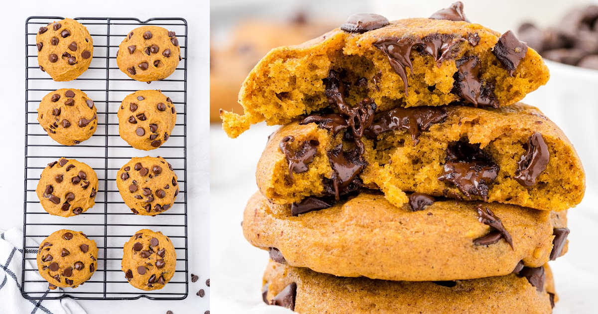 Pumpkin Chip Cookies – Recipes By Val