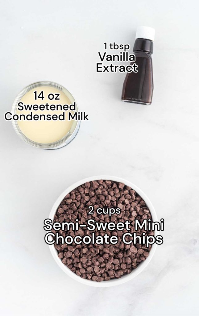 Chocolate Fudge Pass the Dessert