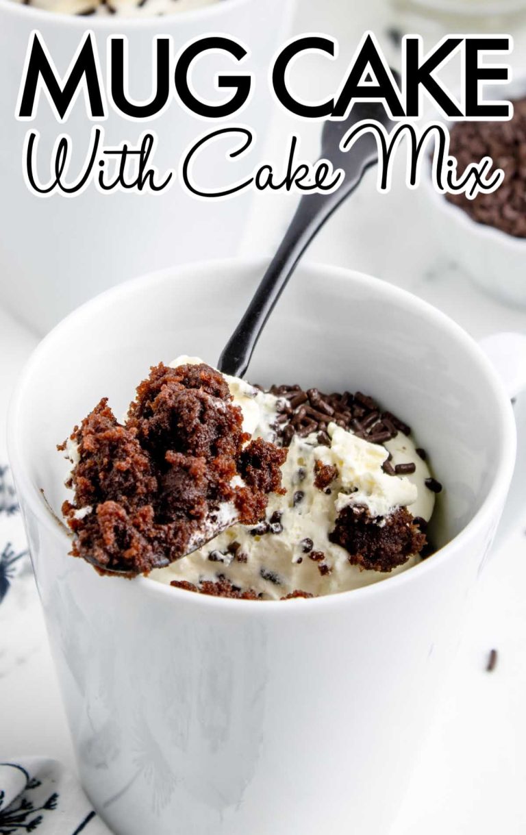 Mug Cake with Cake Mix Pass the Dessert