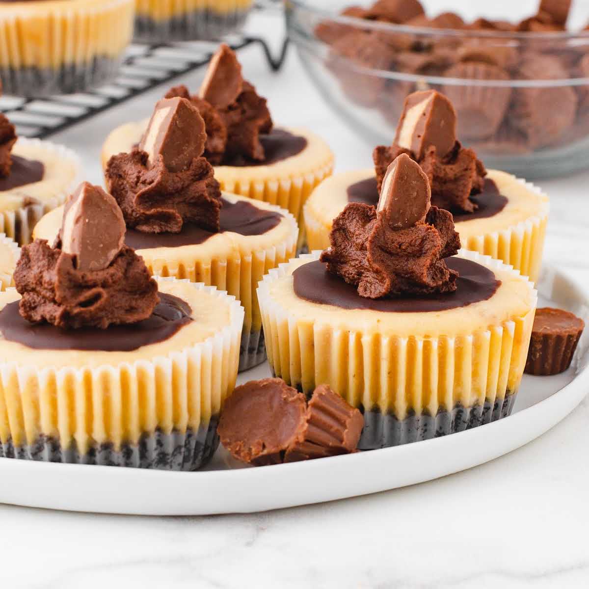 Reese S Peanut Butter Cup Mini Cheesecakes Pass The Dessert