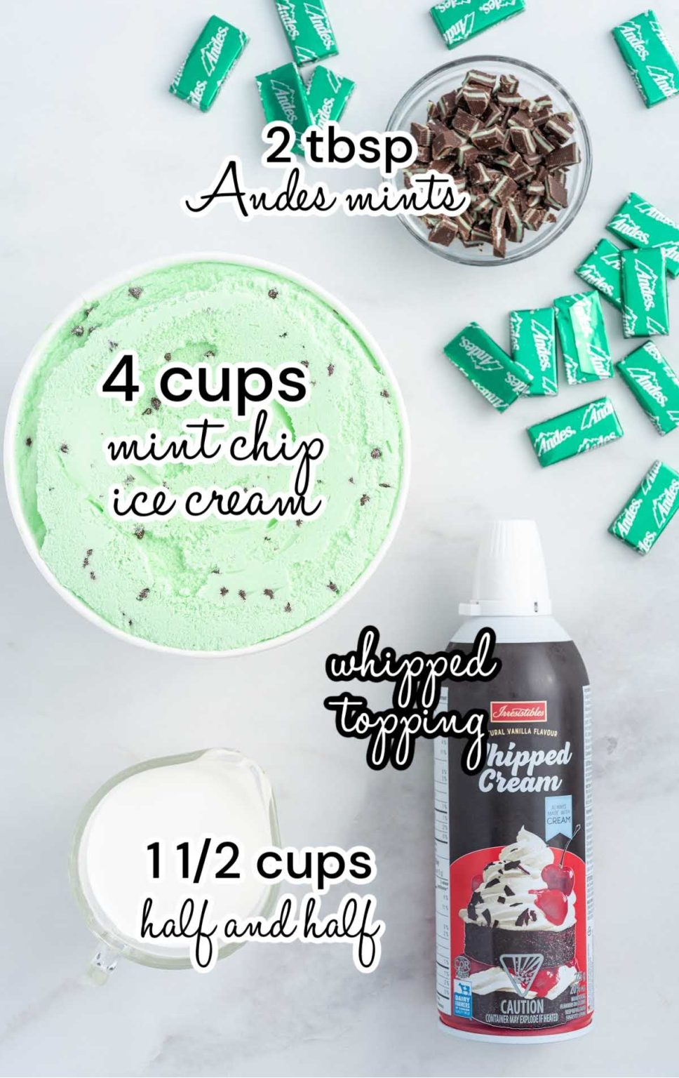 Mint Chocolate Chip Milkshake Pass the Dessert