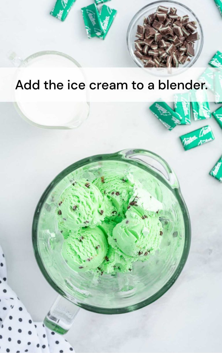 Mint Chocolate Chip Milkshake Pass the Dessert