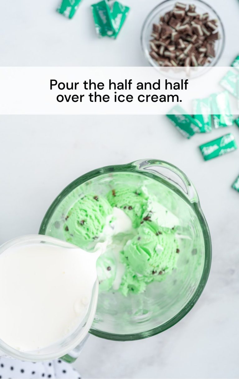 Mint Chocolate Chip Milkshake Pass the Dessert