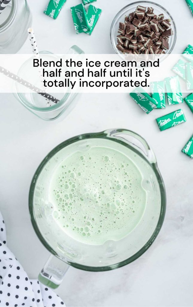 Mint Chocolate Chip Milkshake Pass the Dessert