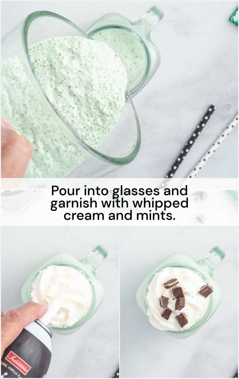 Mint Chocolate Chip Milkshake Pass the Dessert