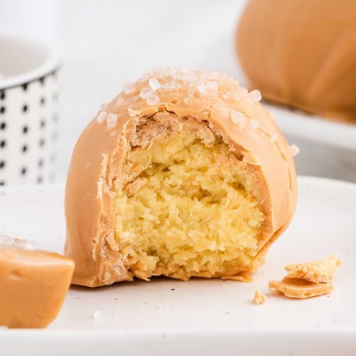 Caramel Cheesecake Bites Pass the Dessert