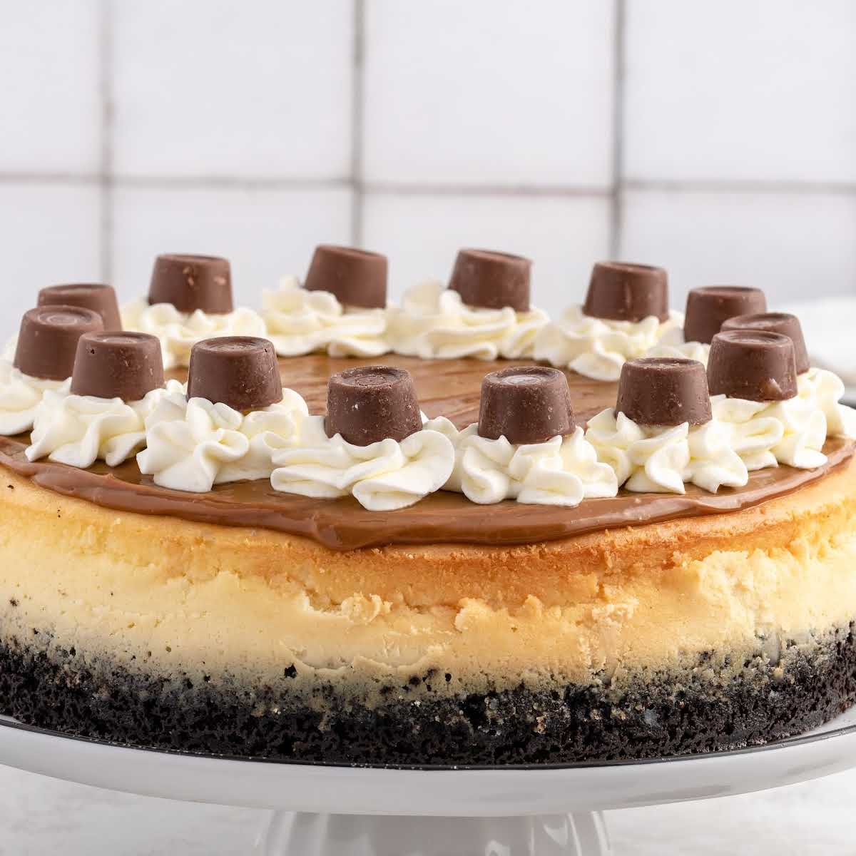 Rolo Cheesecake - Pass the Dessert