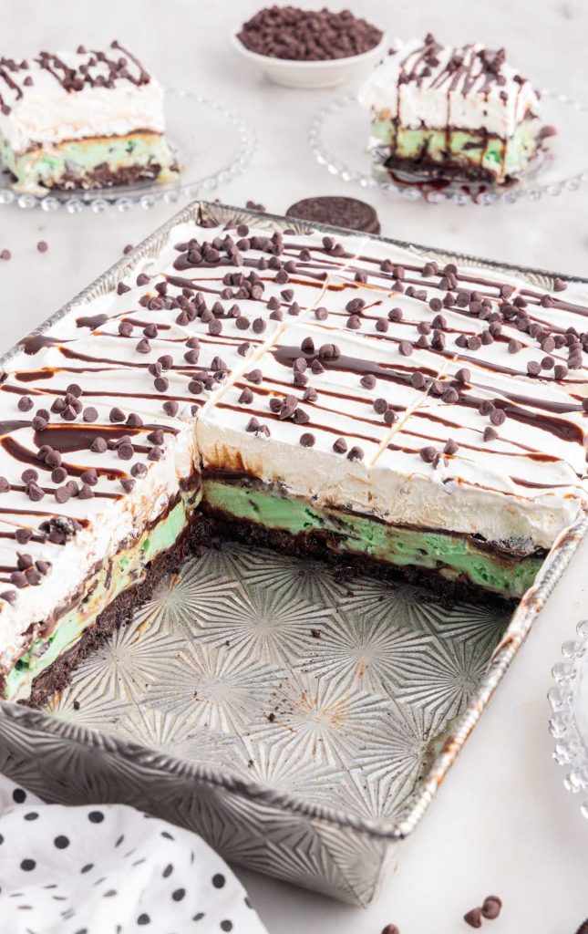 Mint Chocolate Chip Ice Cream Cake - Pass the Dessert